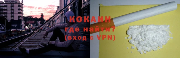 PSILOCYBIN Белокуриха