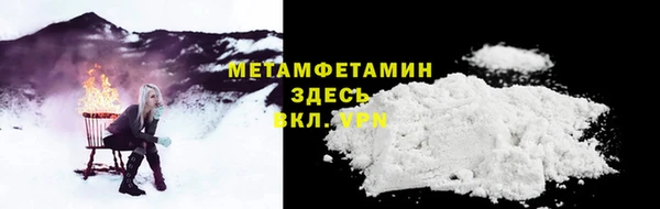 PSILOCYBIN Белокуриха