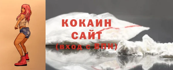 PSILOCYBIN Белокуриха