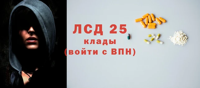 PSILOCYBIN Белокуриха