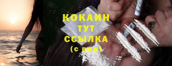 PSILOCYBIN Белокуриха
