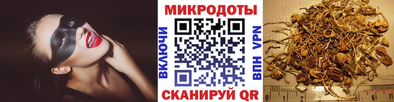 Псилоцибиновые грибы MAGIC MUSHROOMS  Михайлов 